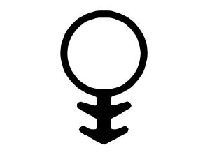 VIRUTEX Silikondichtungen für Nut