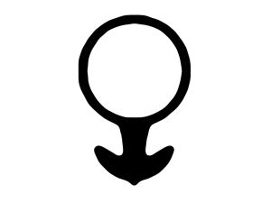 VIRUTEX Silikondichtungen für Ankerschlitz