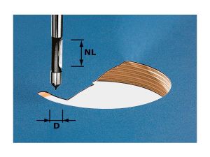 FESTOOL Bohrfräser HW S8 D8/19