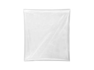 FESTOOL Entsorgungssack ENS-VA-20/10